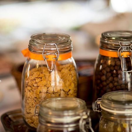 Palac Piorunow & Spa Kwiatkowice Εξωτερικό φωτογραφία