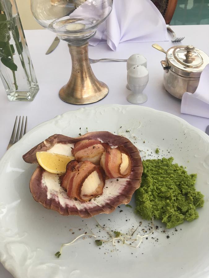Palac Piorunow & Spa Kwiatkowice Εξωτερικό φωτογραφία
